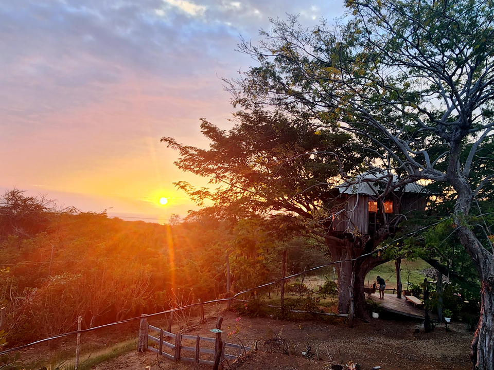 Casa Ardillas, tree house